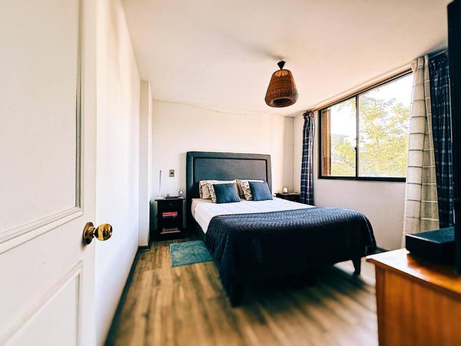 Cozy In Providencia Apartamento